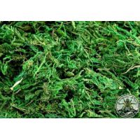 Natural dry moss dark green 30g